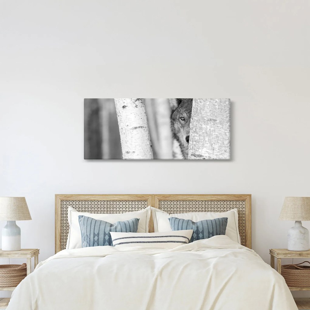 Kép - Farkas az erdőben (120x50 cm)