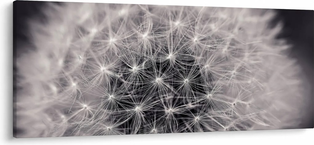 Pitypang képe (120x50 cm)