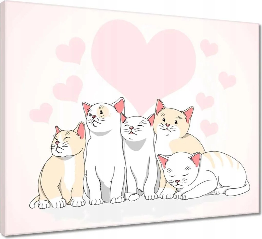 Vászonkép 50x40 Cica Cicák