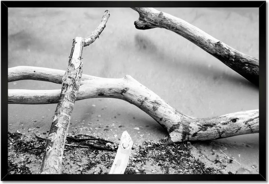 Poszter keretben 60x40 Gyökerek Tengerpart