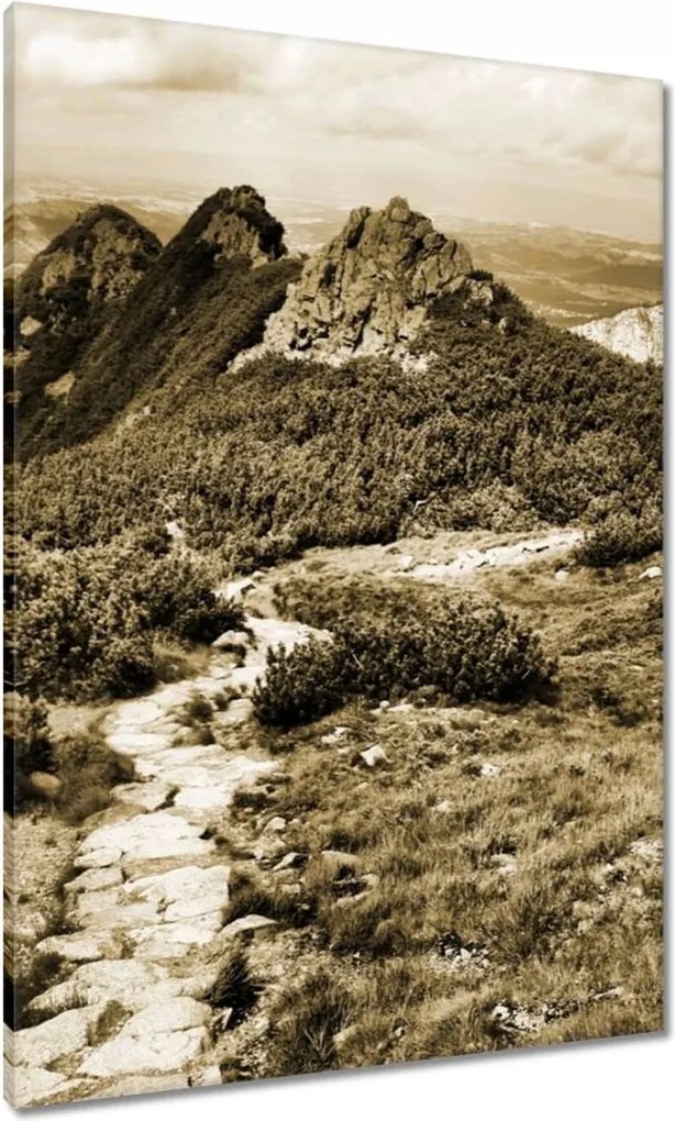 Vászonkép 70x100 Tátra Lengyel hegyek Kilátás