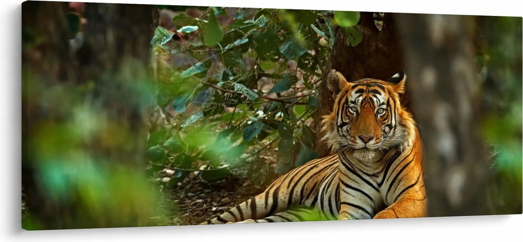 Pihenő tigris képe (120x50 cm)