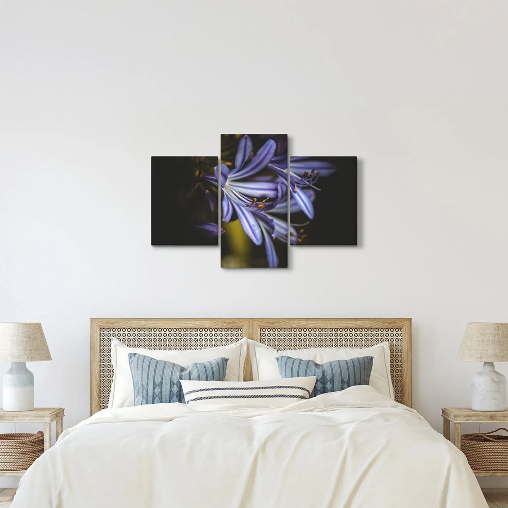 Kép - Lila (90x60 cm)