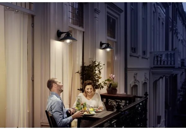 Philips 17381/30/PN - Kültéri fali lámpa COMORANT 1xE27/42W/230V IP44