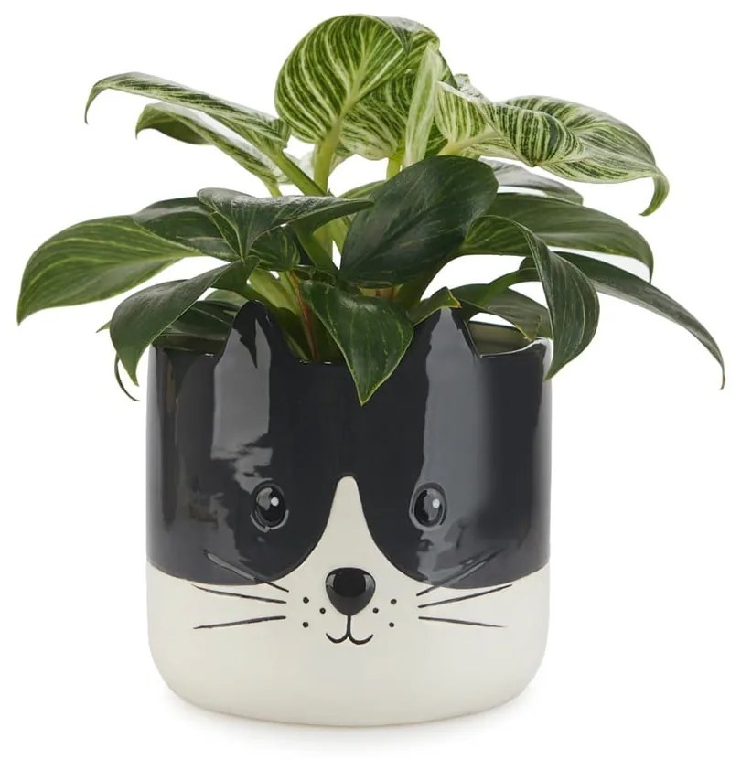 Kerámia virágcserép ø 13,5 cm Kitty – Balvi