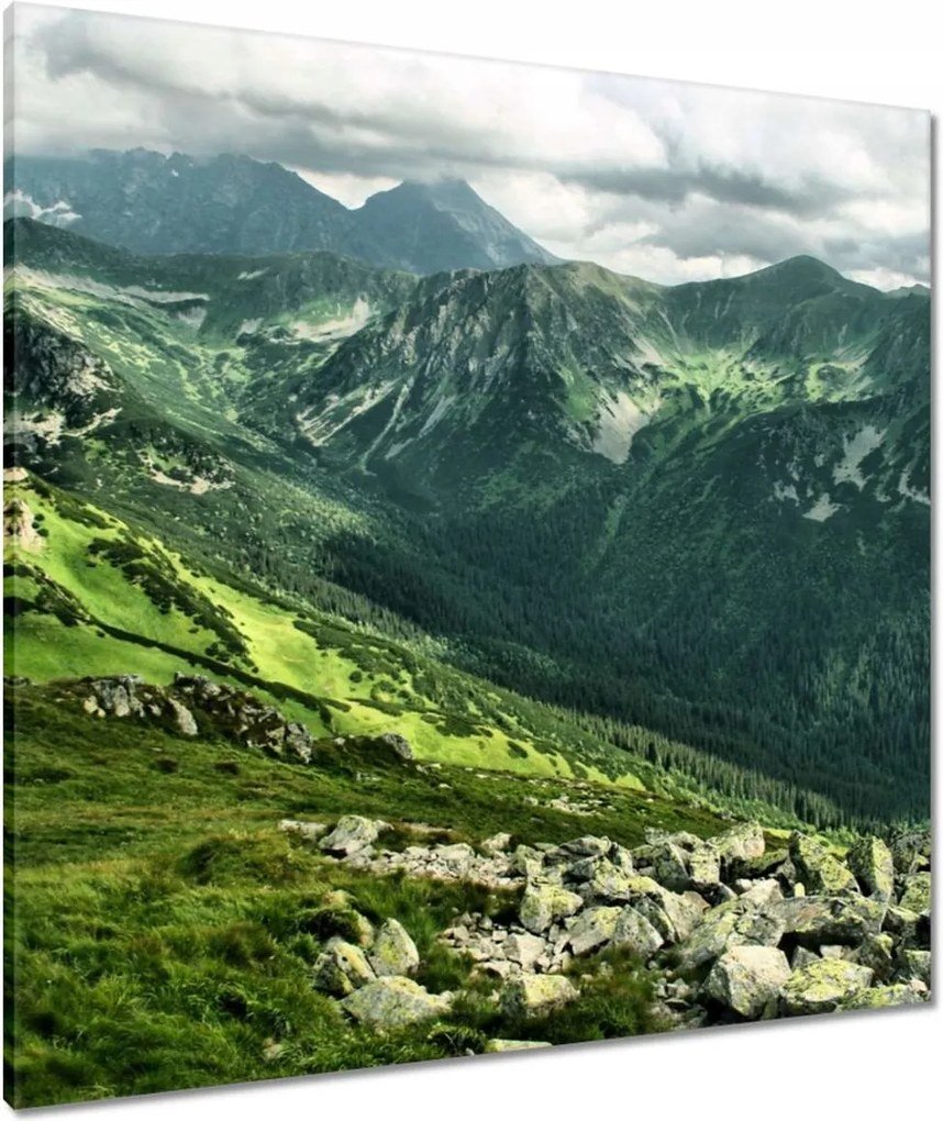 Vászonkép 80x80 Tátra Lengyel hegyek Kilátás