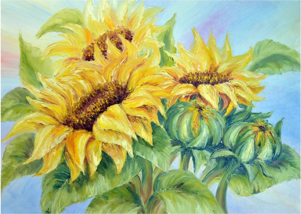 Virágzó napraforgó képe (70x50 cm)