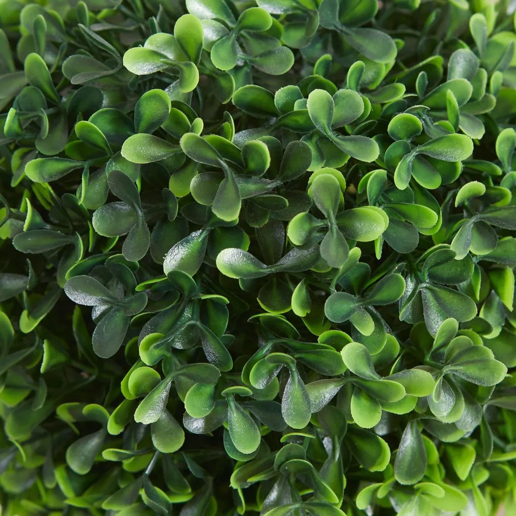 Műnövény szett, 2 db buxus, cserépben 60cm magas
