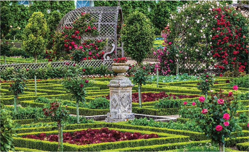 Fotótapéta Francia kert rózsák vinil harmónia 254x184 +ragasztó