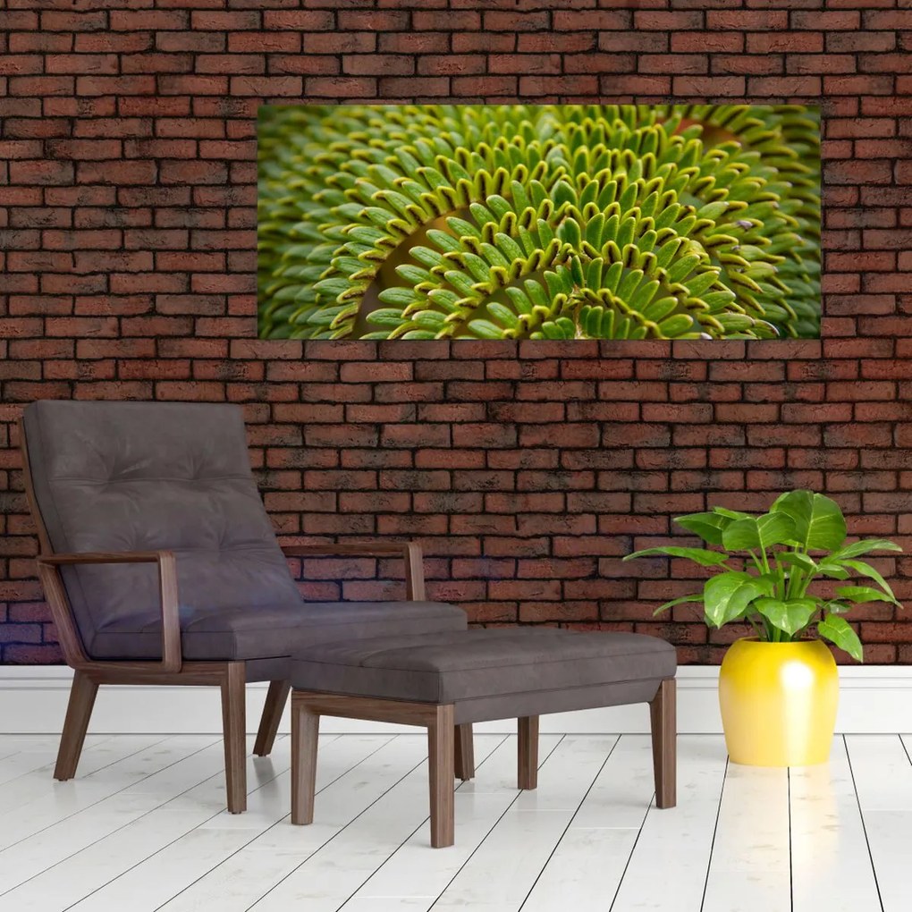 Kép - Fern (120x50 cm)