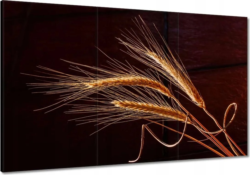 Vászonkép 120x80 Kalászok Gabona Természet Bio