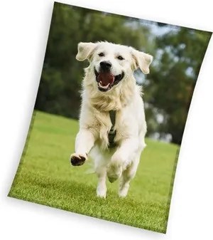 Kutyás Happytail Retriever coral fleece polár takaró 150x200cm