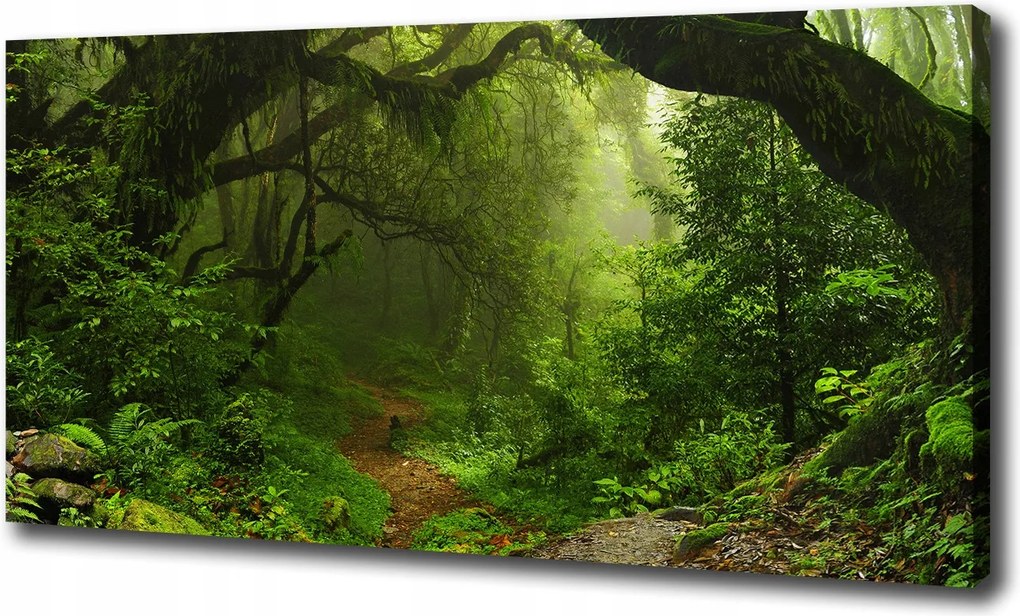 Vászonkép Dzsungel Nepálban 100x70 cm