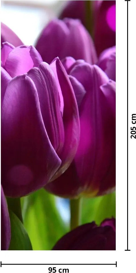 Fotótapéta ajtóra - Tulipánok (95x205cm)