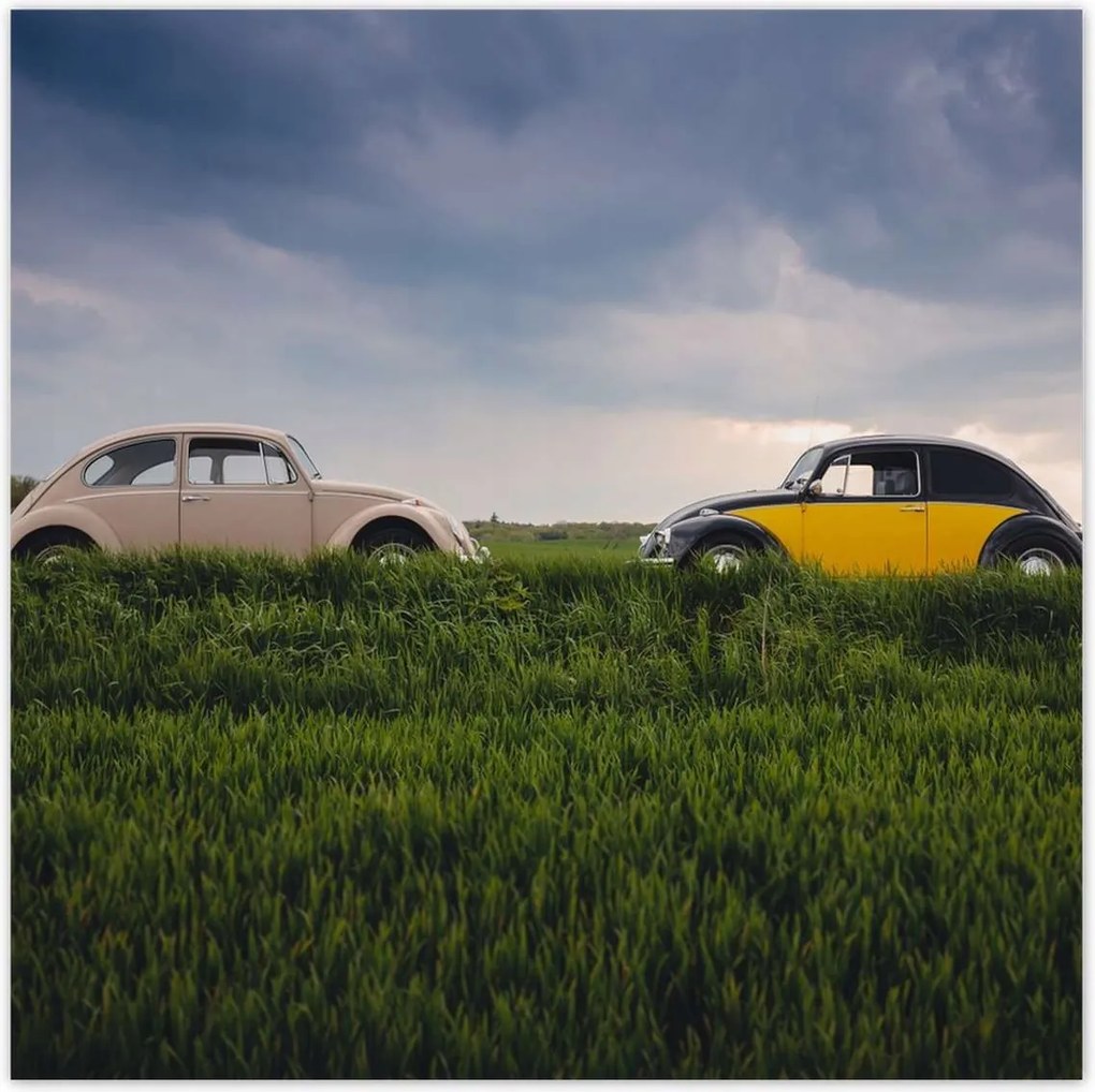 Poszterek 140x140 Volkswagen Bogár