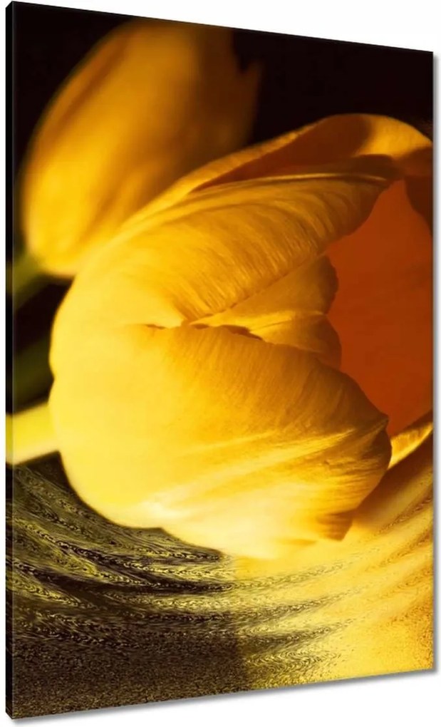 Vászonkép 70x100 Sárga-arany tulipán