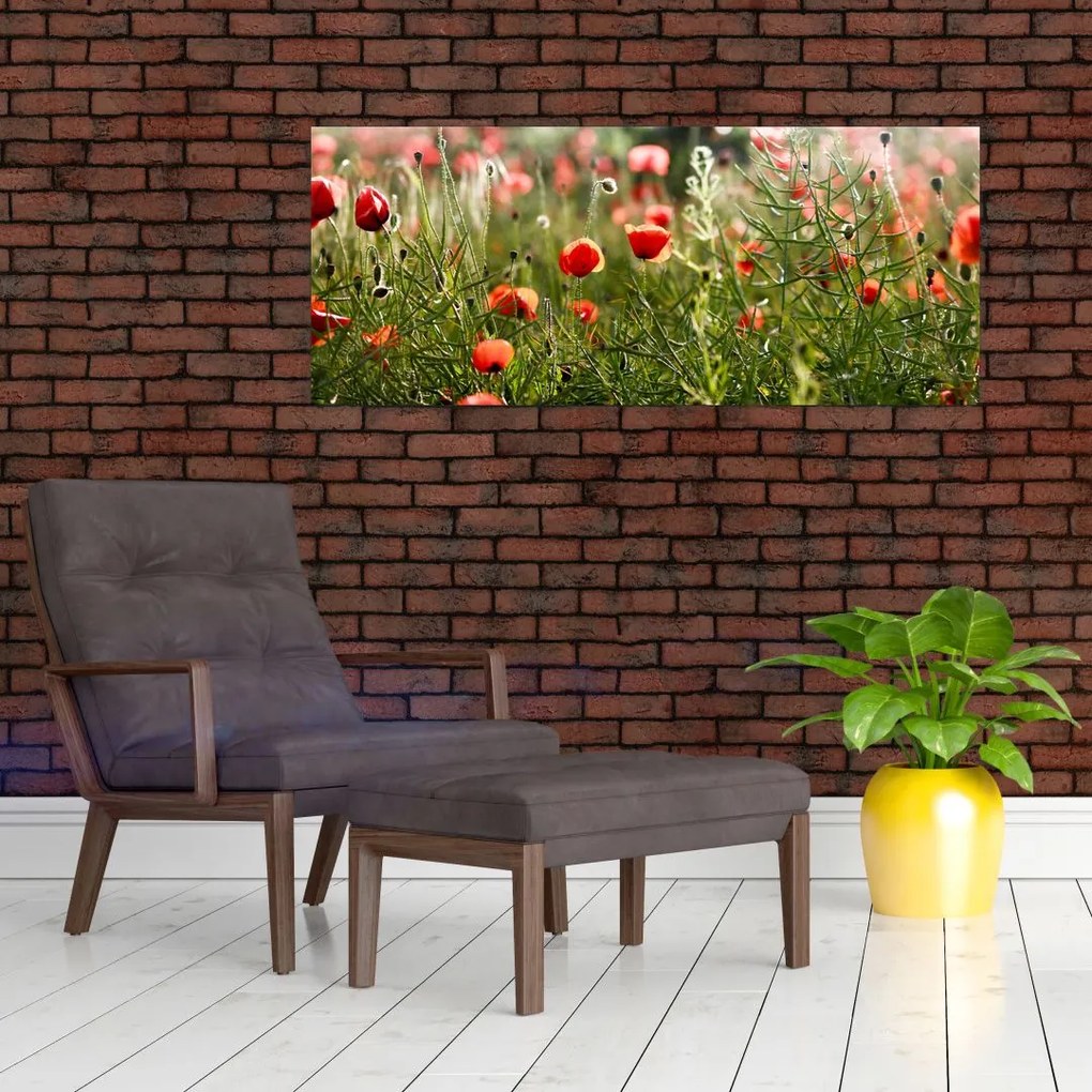 Pipacsok képe (120x50 cm)