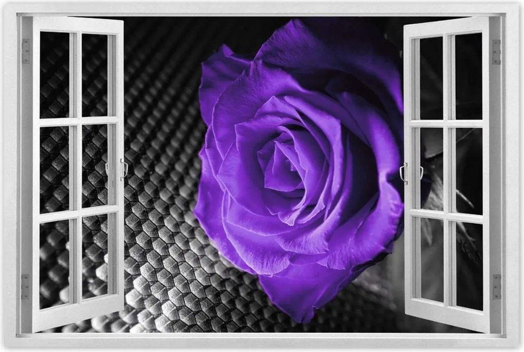 Poszter 60x40 Lila rózsa