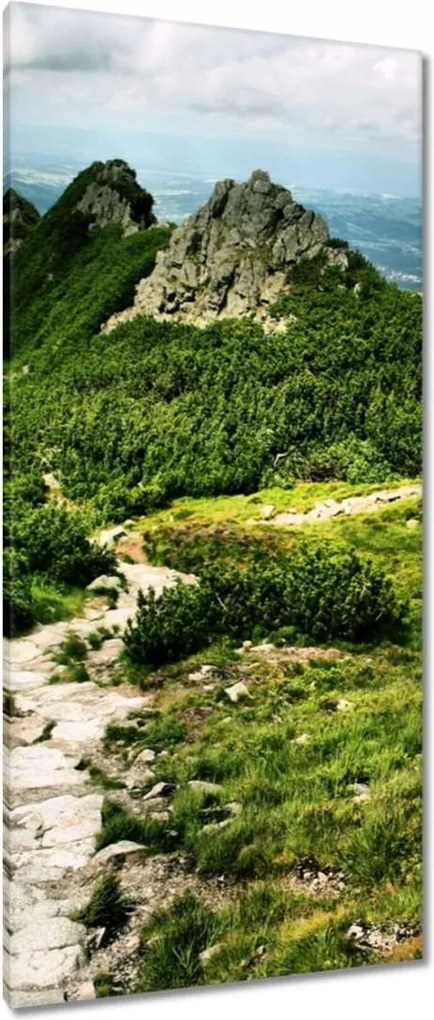 Vászonkép 55x115 Lengyel Tátra Hegyek