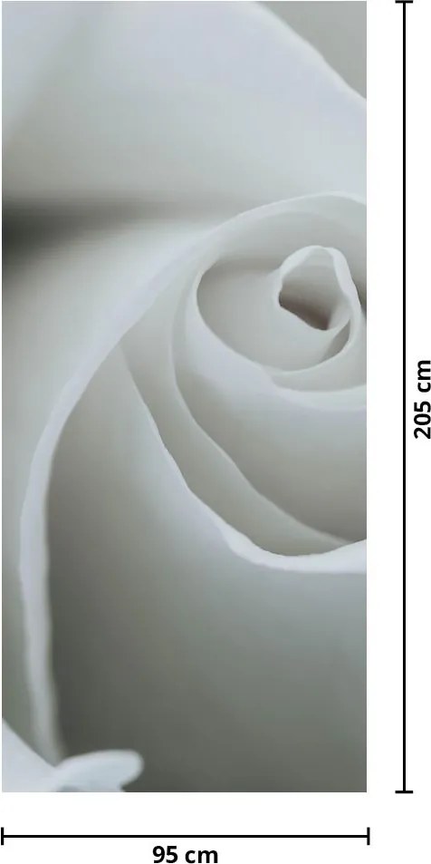 Fotótapéta ajtóra - Fehér rózsa (95x205cm)