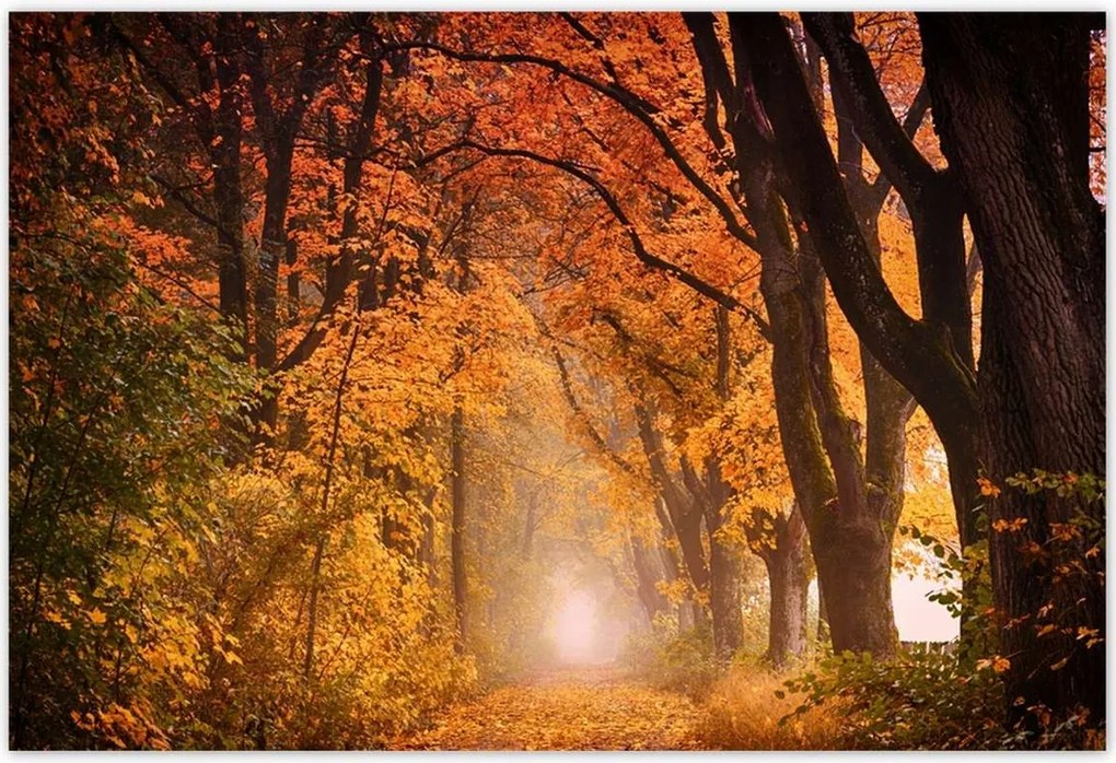 Poszterek 200x135 Őszi kilátás