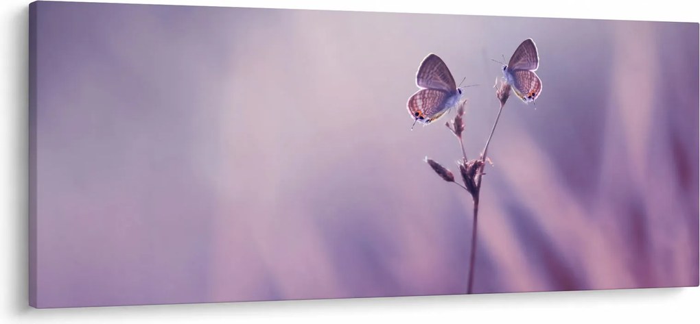 Kép - Lila pillangók (120x50 cm)