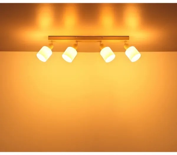 Globo 54114-4 - TRENT spotlámpa 4xE14/25W/230V