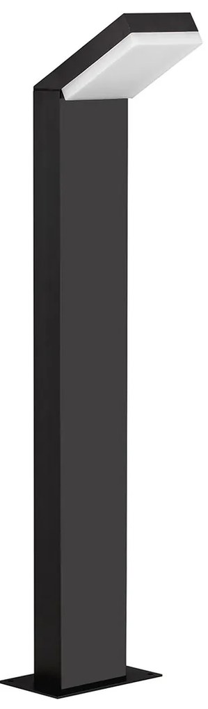 Farge