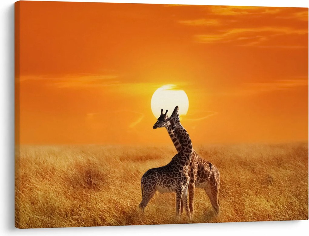 Kép - Zsiráfok a Serengeti Nemzeti Parkban (70x50 cm)