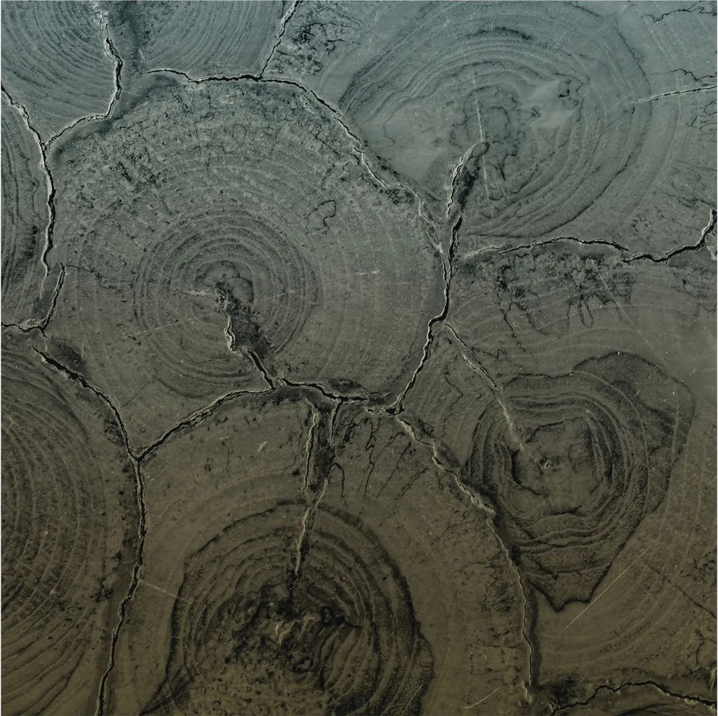 Fotótapéta Flizelin Dekoratív Hálószoba Fa tégelyek 250x250