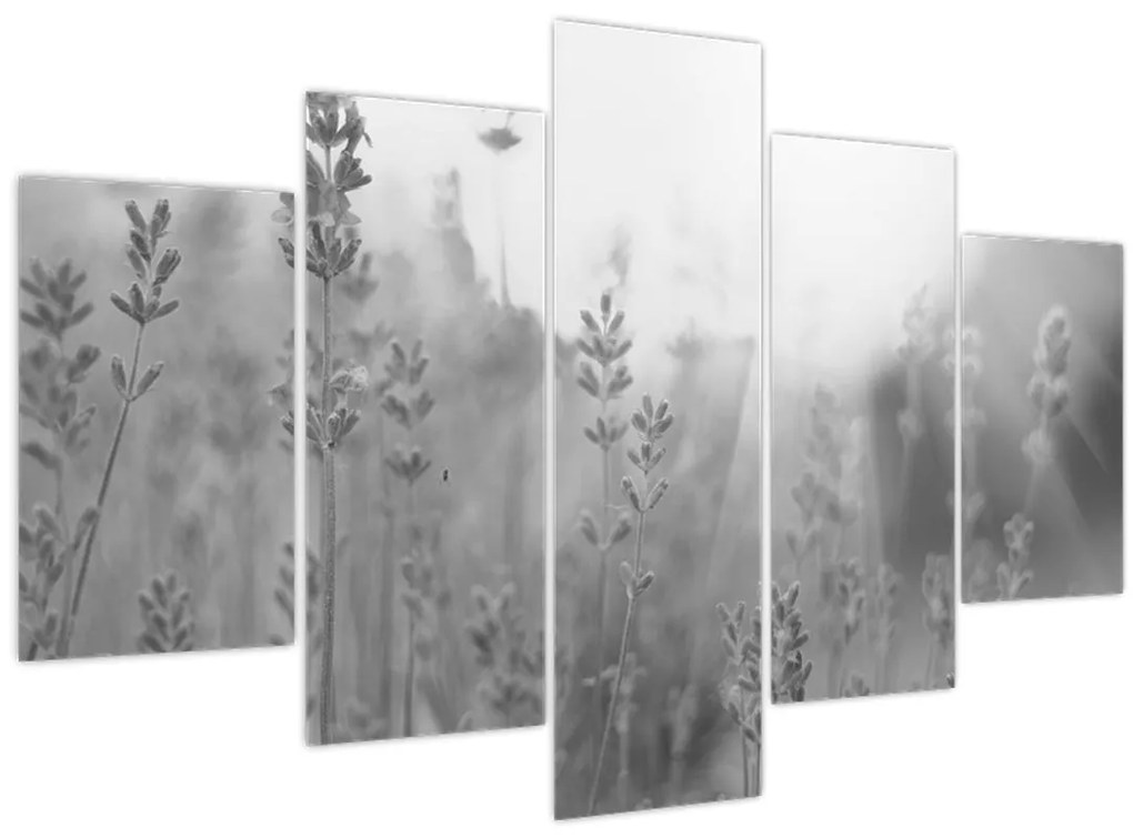 Kép - Levendula (150x105 cm)