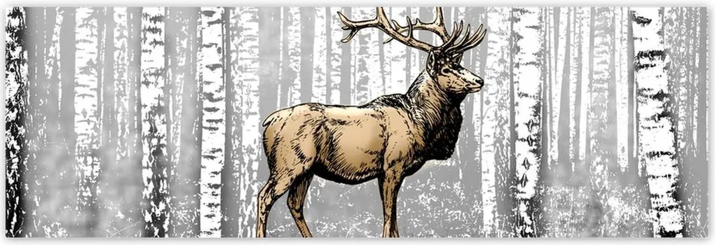 Poszterek 200x66 Szarvas Nyírfa Erdő