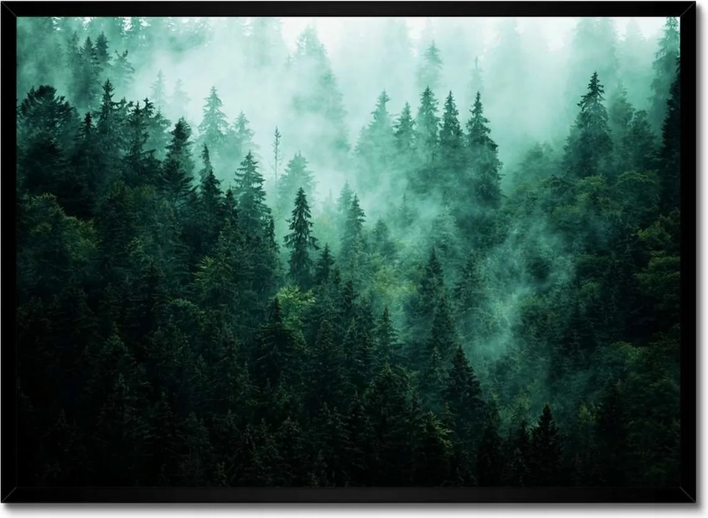 Poszter fekete keretben 70x50 Erdő Köd Tájkép Utazás