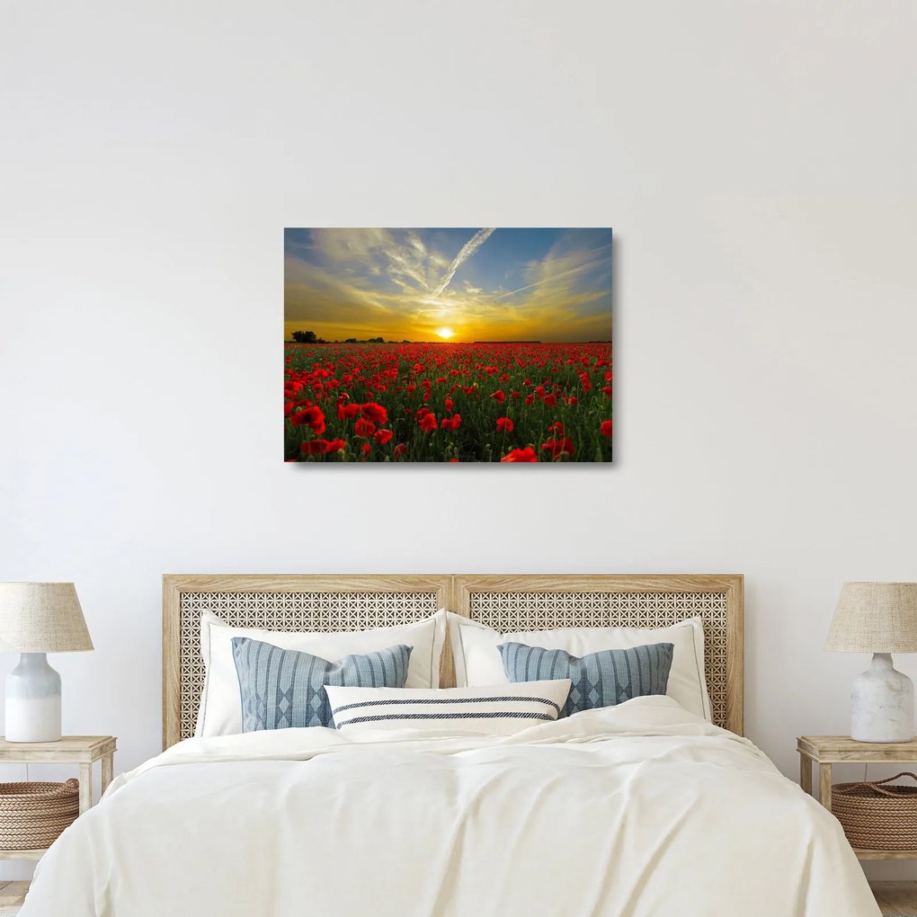 Egy kép a pipacs mezőről (üvegen) (70x50 cm)