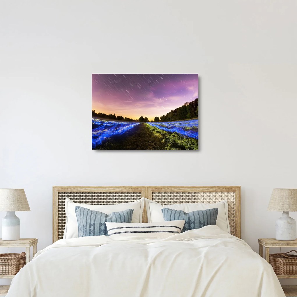 Színes mező képe (üvegen) (70x50 cm)