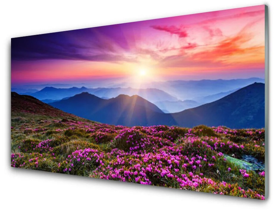 Modern üvegkép Mountain Meadow Virág Tájkép 120x60cm