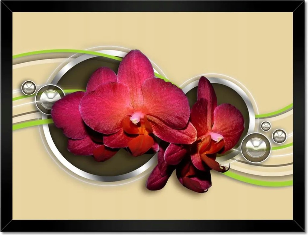 Poszterek keretben 40x30 Virágok Absztrakt