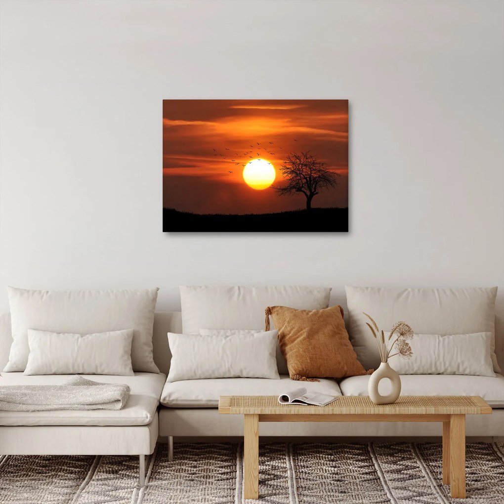 Kép - Naplemente (70x50 cm)