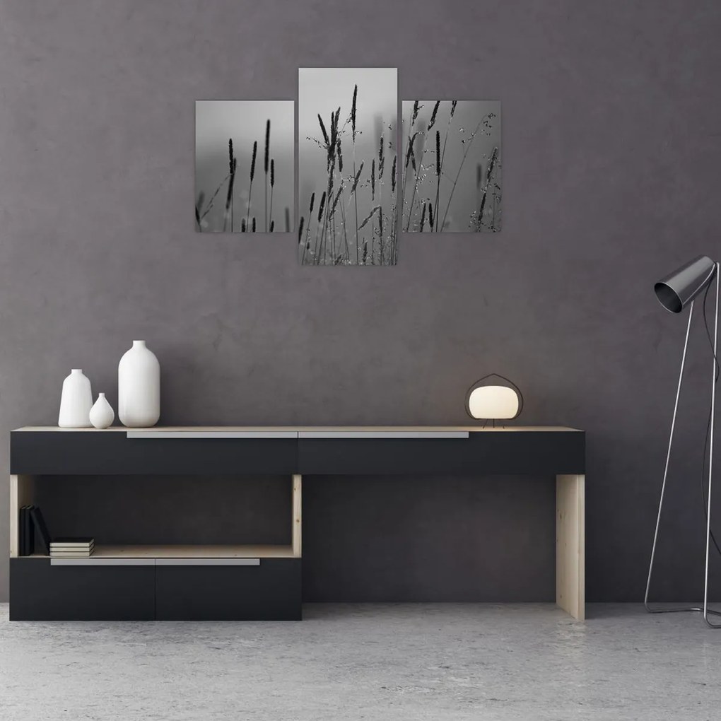 Kép - Fűszálak (90x60 cm)