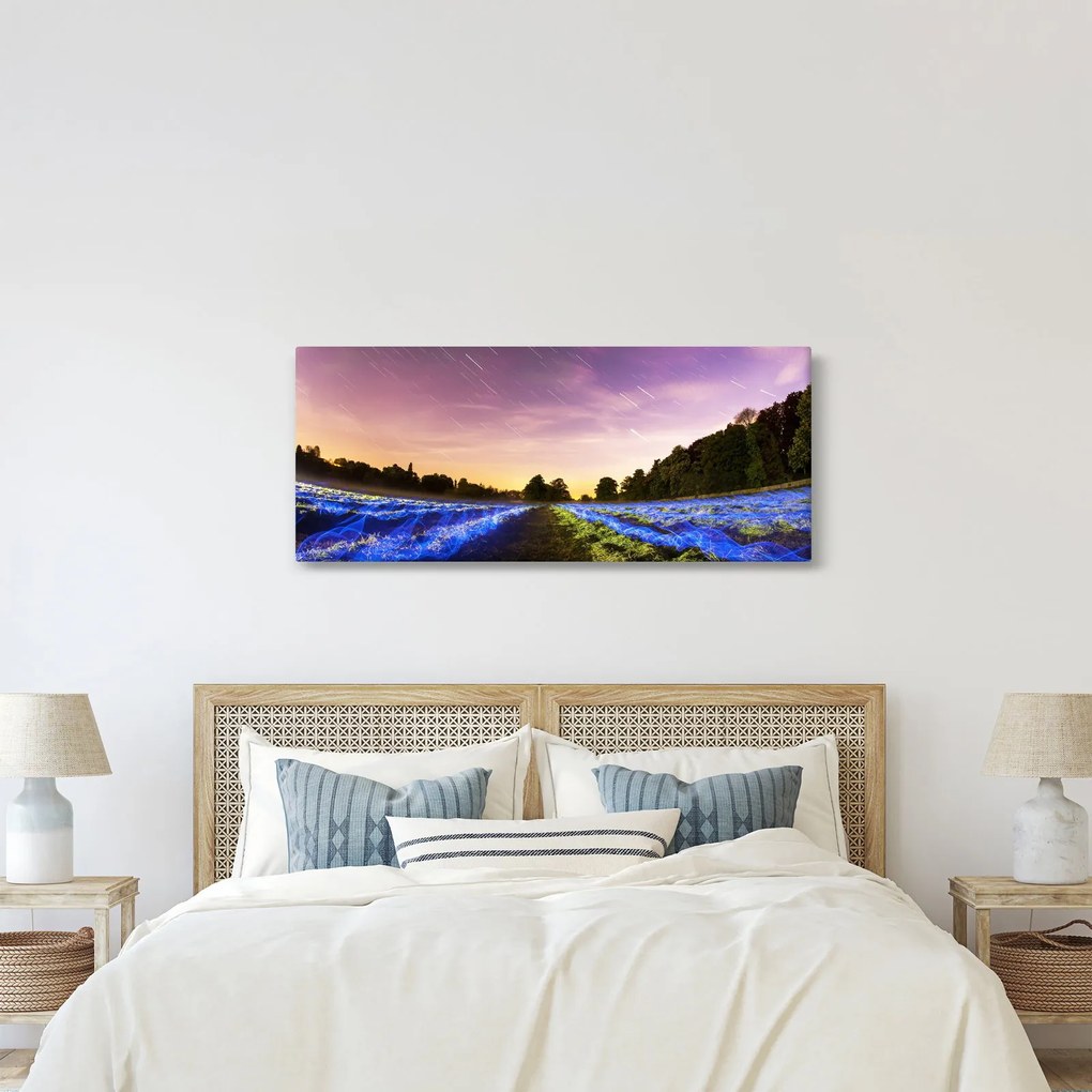 Színes mező képe (120x50 cm)