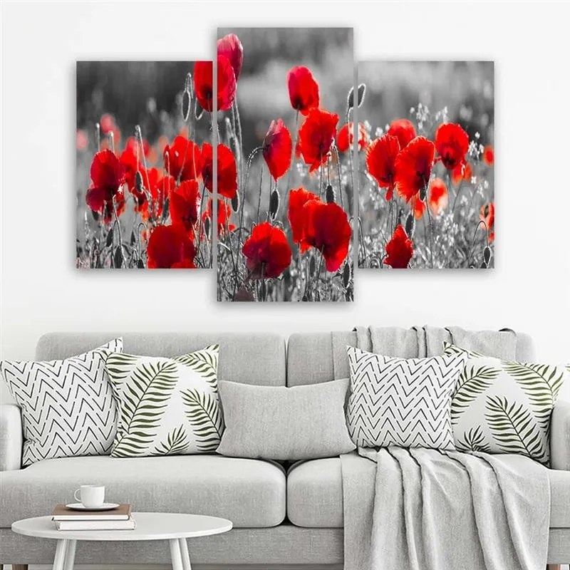 Gario Vászonkép Vörös pipacsok fekete-fehér réten - 3 részes Méret: 150 x 100 cm