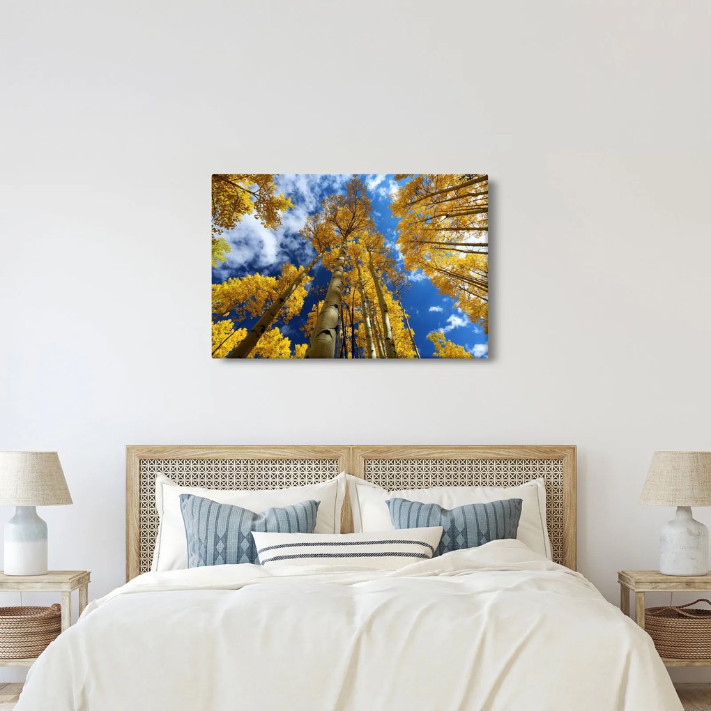 Kép - Aspen (90x60 cm)