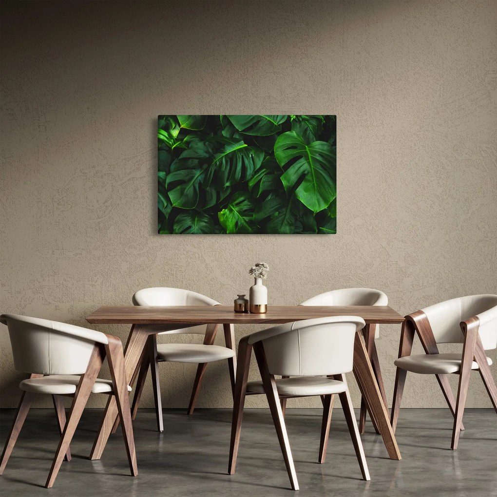 Monstery levelek képe (90x60 cm)