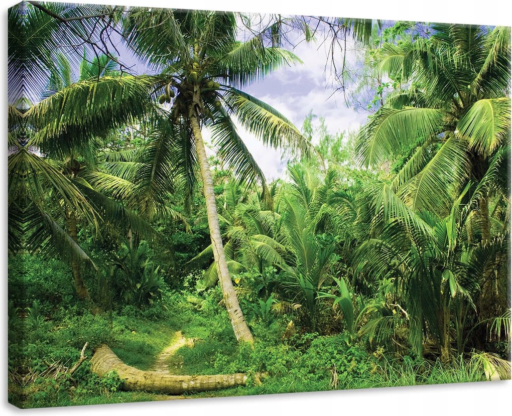 Vászonkép 70x50 Trópusi erdő pálmafák zöld árnyék fény természet nyugalom