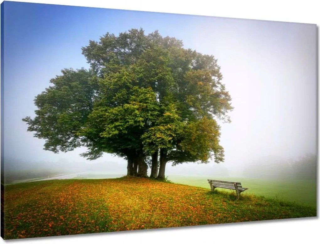 Vászonkép 90x60 Tájkép paddal Fa