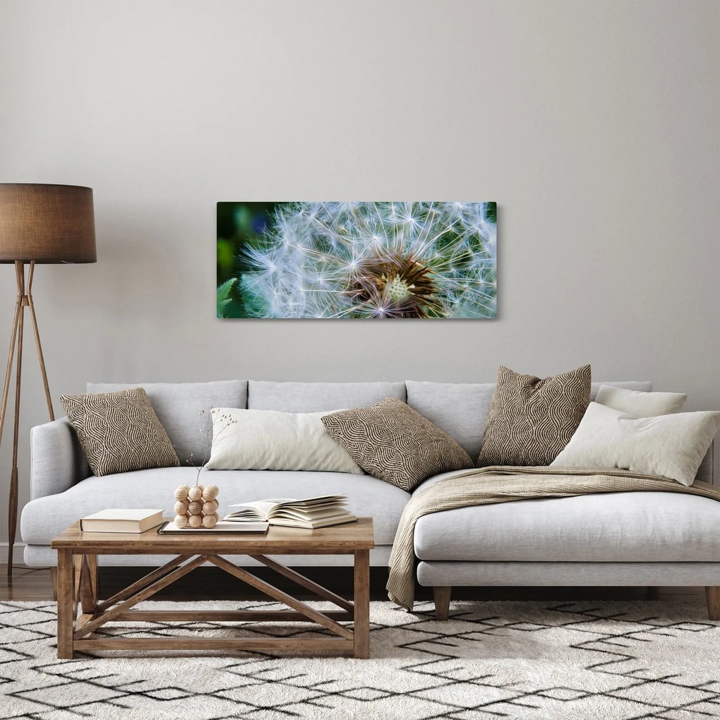 Elvirágzott pitypang képe (120x50 cm)