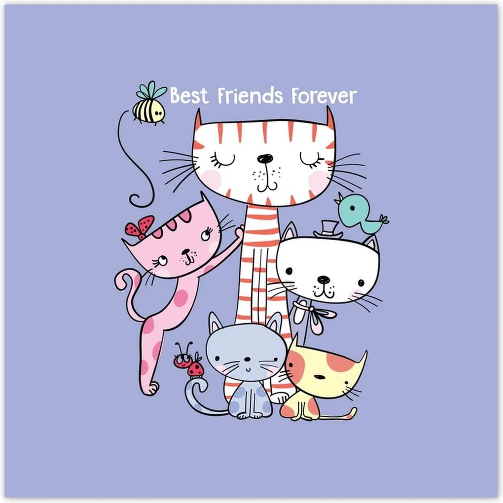 Plakátok 100x100 macska cica macskák