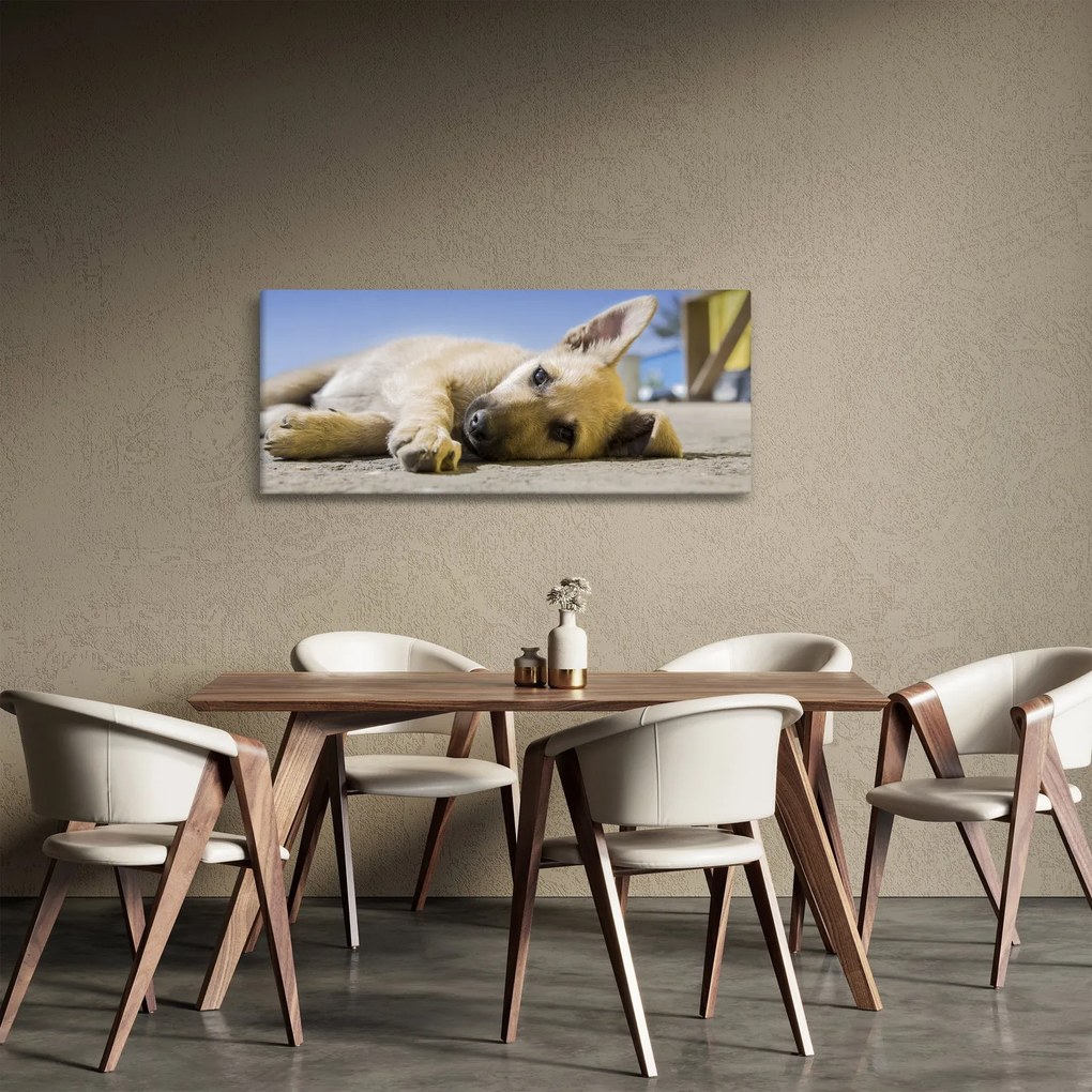 Fekvő kiskutya képe (120x50 cm)