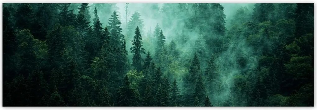 Fotótapéták 312x104 Erdő Köd Tájkép Utazás