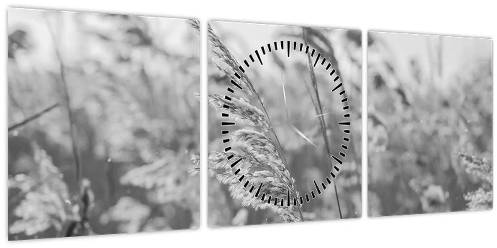 Kép - Fű a szélben (órával) (90x30 cm)